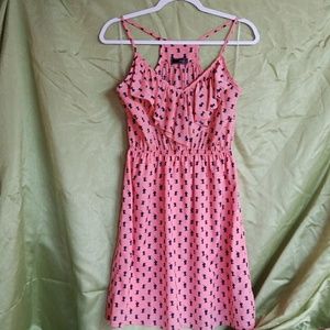 Meow! Pretty Kitty !🐈  Corral w/  Navy cats